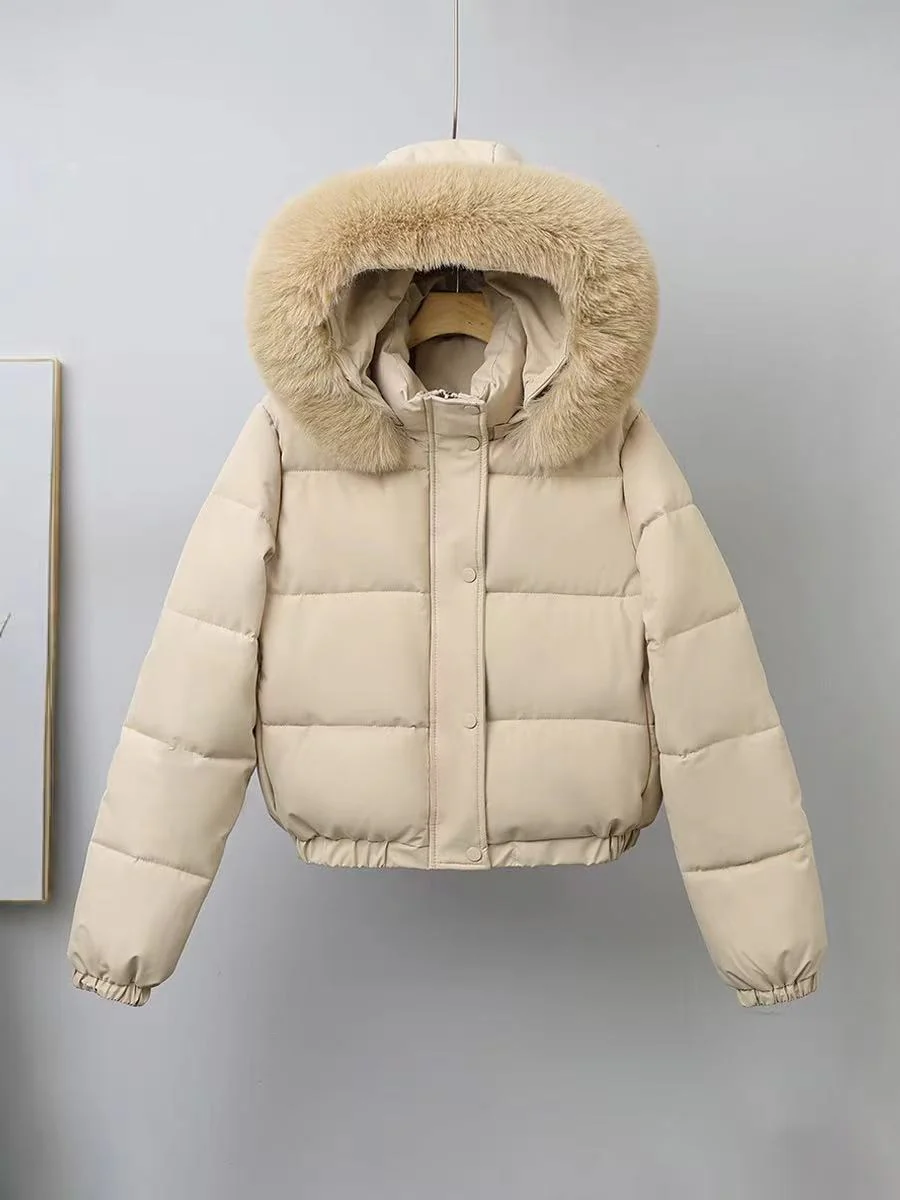 T588-737  Warm inside, warm jacket, cotton jacket - Image 2