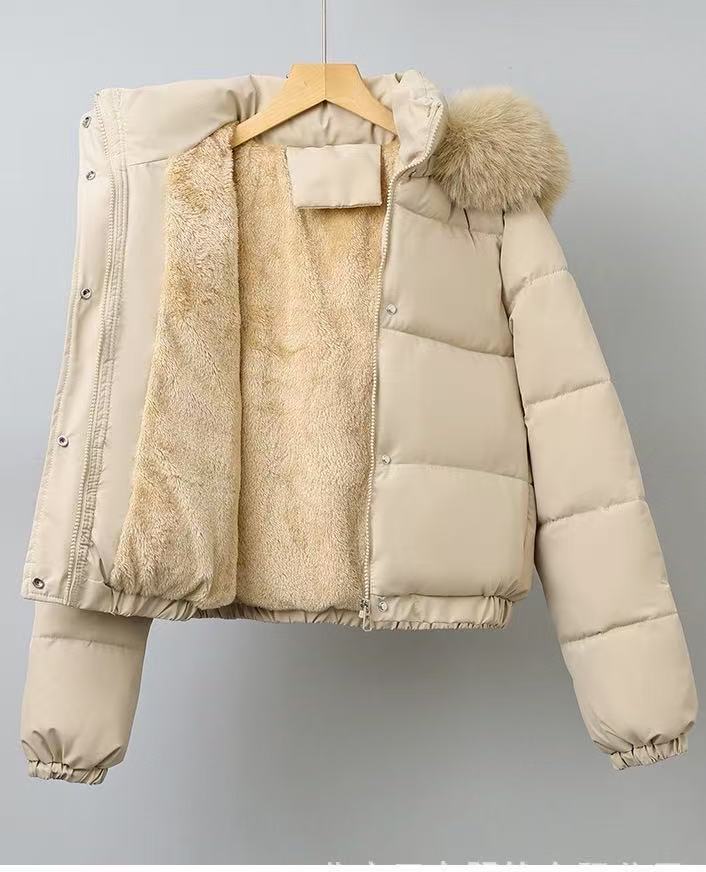 T588-737  Winter women's coat with fur collar for warmth - Image 7